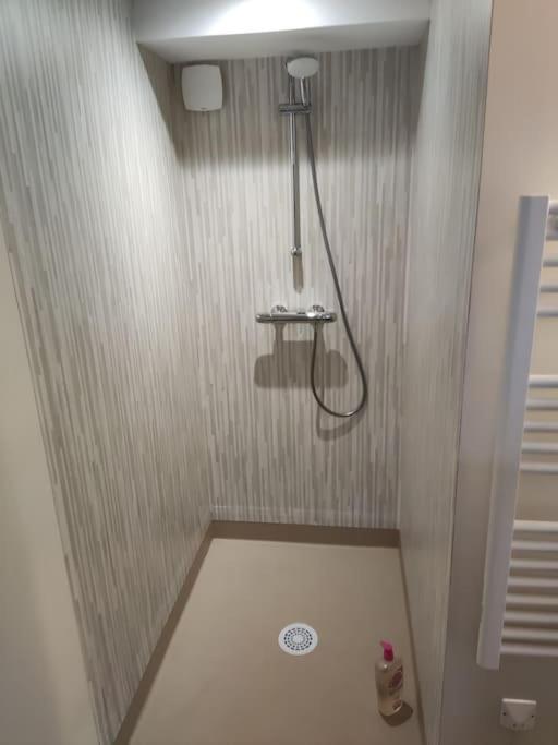 Apartment L' Escale Ponote - Centre - 90m2 Le Puy-en-Velay
